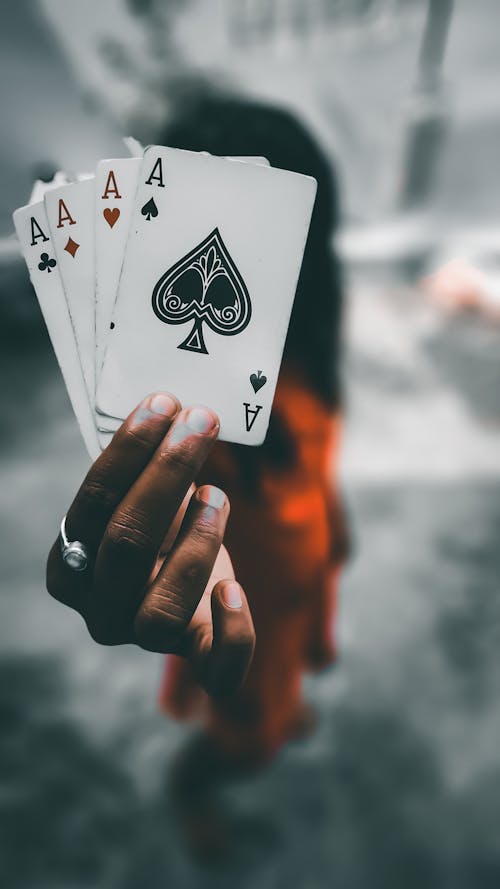 casino-217