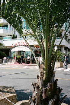 casino-3956